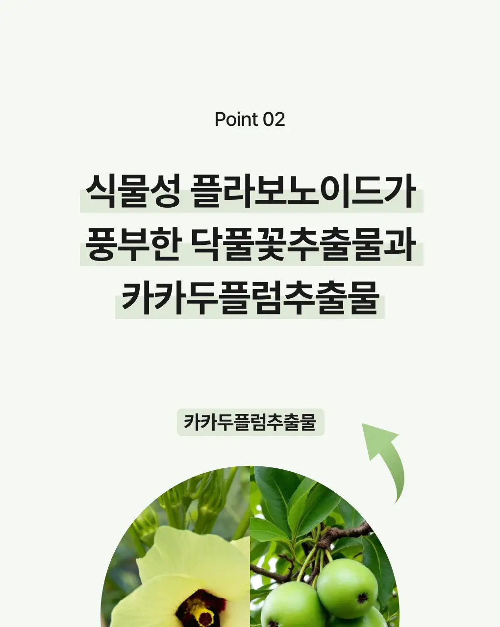[색소침착/흔적] 청미정 기미잡티크림 카카두플럼 50g 상세페이지 10